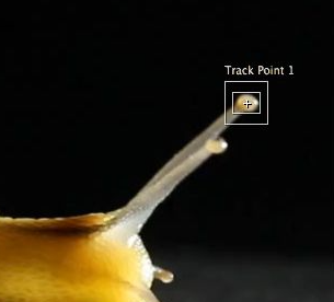 Screenshot 2025-01-31 165008